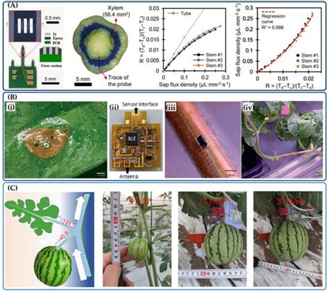 Image result for Small Sensor Sapling Tank