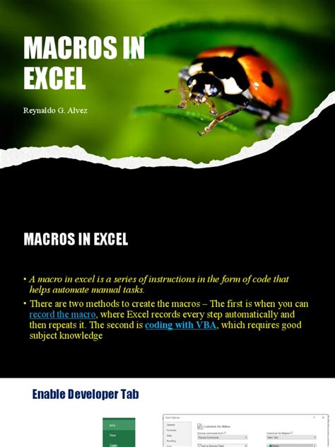 Macros in Excel | PDF