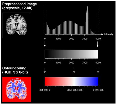 Image result for Understanding Colour Coding
