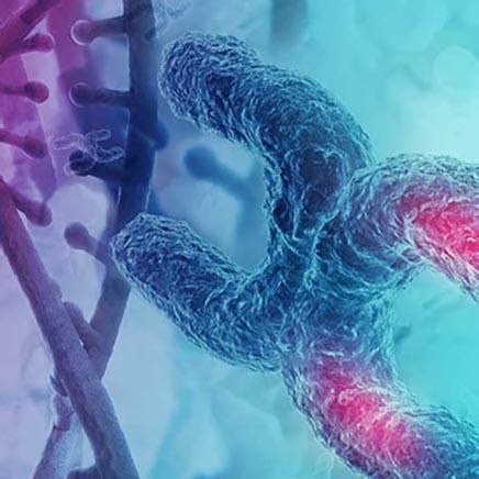 Image result for Genomic Analysis