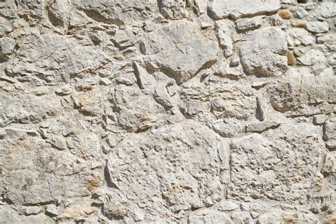 Image result for Limestone Fossil Tile for Outside