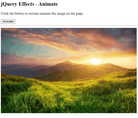 Image result for jQuery Animations