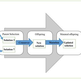 Afbeeldingsresultaten voor Steady State Genetic Algorithm