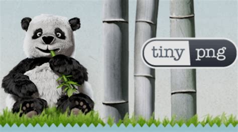 Image result for Optimization Tools