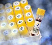 Afbeeldingsresultaten voor Computer Imprintable Labels