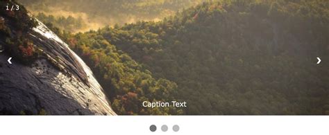 Image result for Homepage with Slideshow HTML