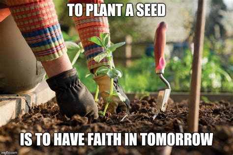 Image result for Seed Starting Time Meme