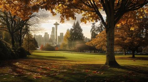 Image result for Seattle Fall Screensaver