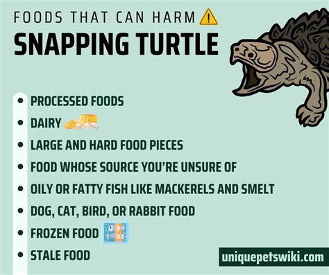 Image result for Snapping Turtle Diet