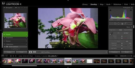 Toradh íomhá ar Install Lightroom Presets