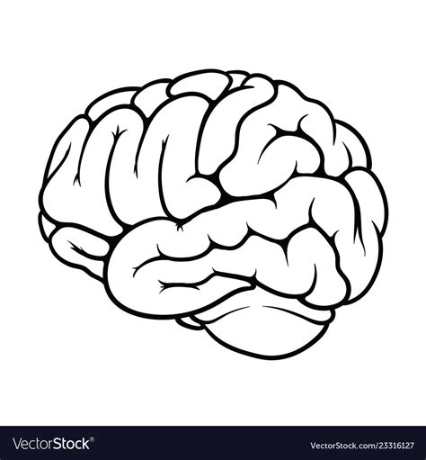 Image result for Simple Brain Outline SVG