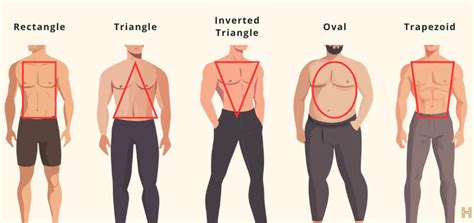 Image result for Most Fit Body Types