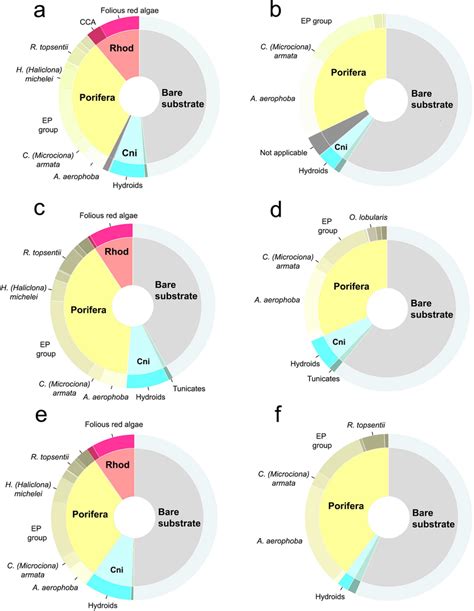Afbeeldingsresultaten voor Ring Charts Python