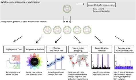 Image result for Genomic Analysis