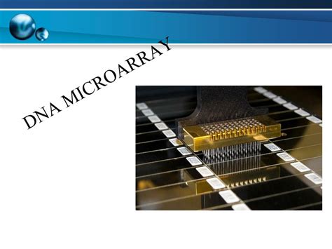 Image result for Microarray Example