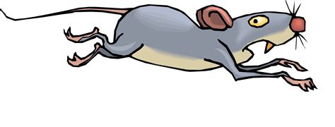 Image result for Mouse Running Around