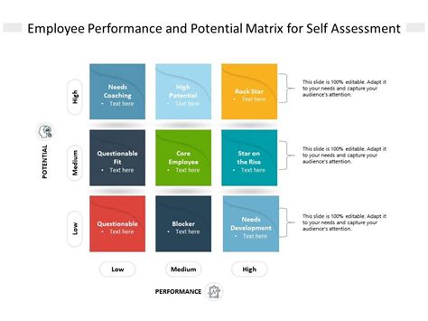 Image result for Employee Performance Matrix