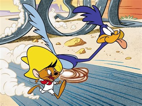 Image result for Road Runner Character