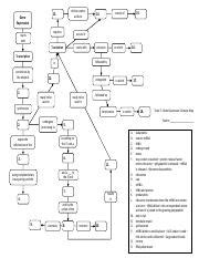 Image result for Module 5 Concept Map Gene Expression