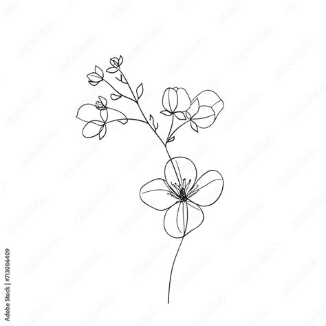 Spring Blossom Picture Line Drawing に対する画像結果
