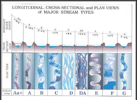 Image result for Stream Type