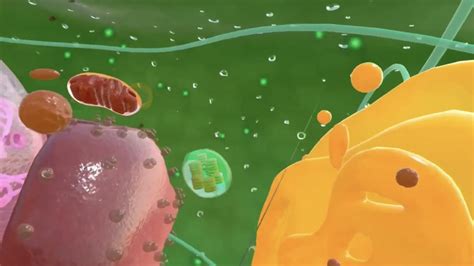 Image result for Virtual Lab Cell Structure