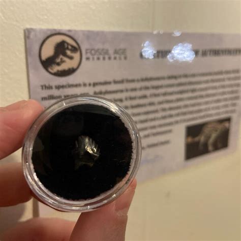 Toradh íomhá ar Dermal Plates