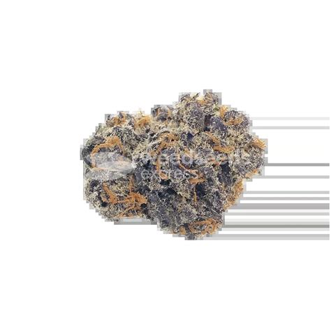 Permanentmarker Autoflower എന്നതിനുള്ള ഇമേജ് ഫലം