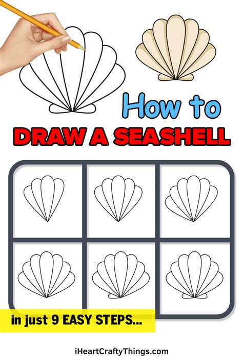Seashell Drawing に対する画像結果