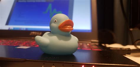 Image result for Rubber Duck Debugging