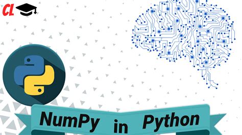 Image result for Is Numpy Easy