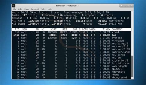 Image result for Kali Linux Prompt
