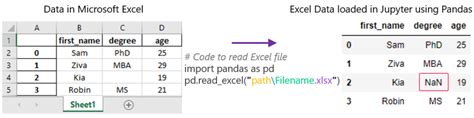 Toradh íomhá ar Django Use Pandas to Import Excel Files