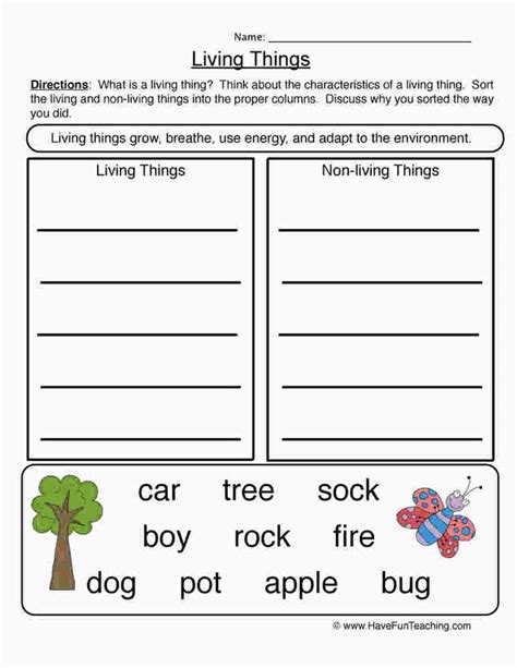 Image result for First Grade Science