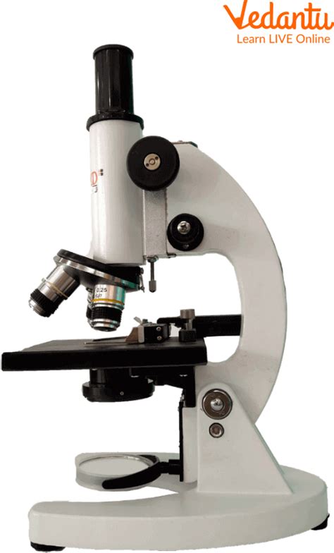 Image result for Microscope and Magnifying Glass