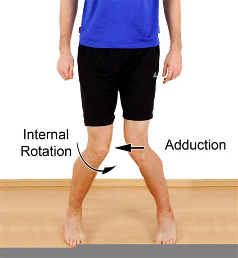 Image result for Internal Rotation