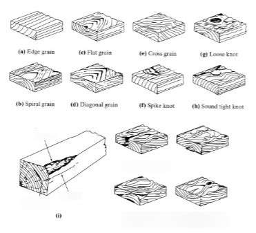 Afbeeldingsresultaten voor Timber Defects