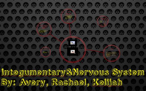 Nerous System に対する画像結果