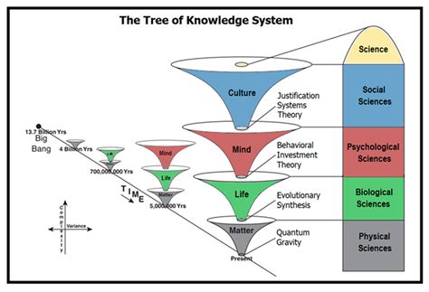 Toradh íomhá ar Tree of Knowledge Instruments of Power