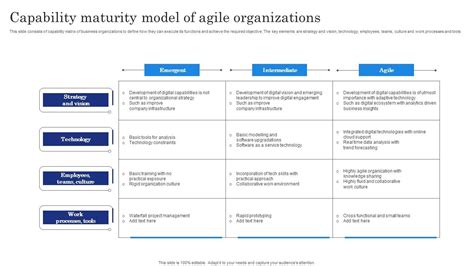 Image result for Project Management Capability Maturity Model