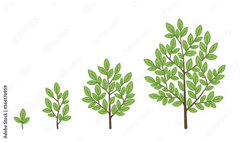 Stages of Tree Growth に対する画像結果