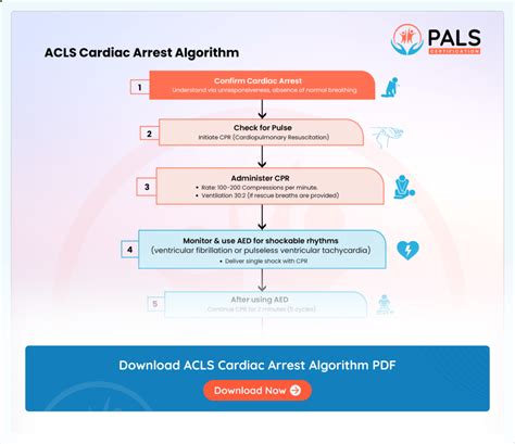 Afbeeldingsresultaten voor Adult Cardiac Arrest Algorithm