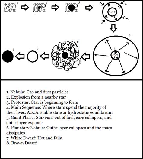 Image result for Stellar Evolution Section Answer Key
