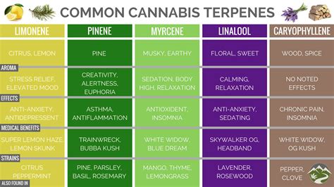 Bildergebnis für How to Add Terpenes to Water