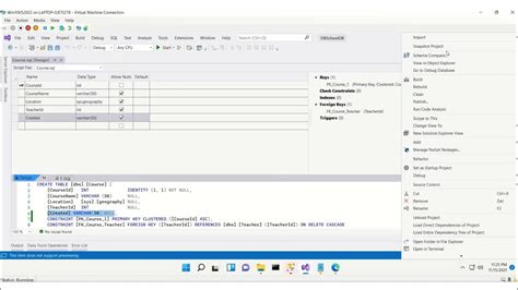 Image result for SQL Project Visual Studio Schema Image