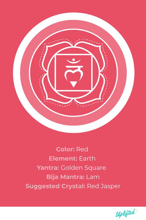 Image result for Root Chakra System