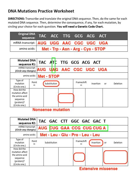 Image result for DNA Mutations Practice Worksheet Answers