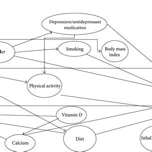 Image result for Confounding Variable Graph