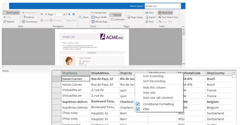 Image result for WinForms Pro Pack