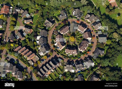 Afbeeldingsresultaten voor Clustered Spatial Pattern
